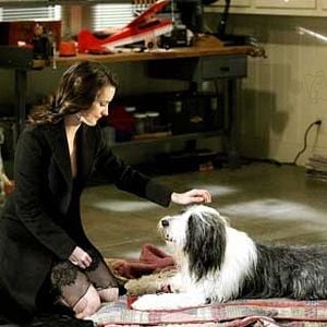 Fotoğraf Kristin Davis