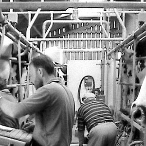 Fotoğraf Pierre Creton