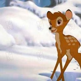 Fotoğraf Bambi 2