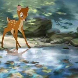 Fotoğraf Bambi 2