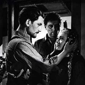 Fotoğraf Michael Powell