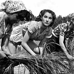 Fotoğraf Giuseppe de Santis