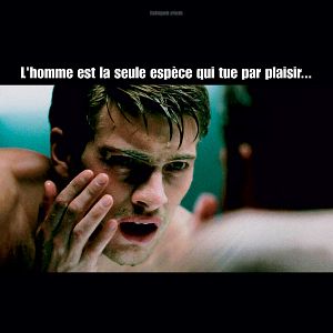 Fotoğraf Andreas Wilson