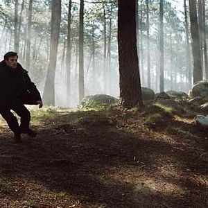 Fotoğraf Andreas Wilson