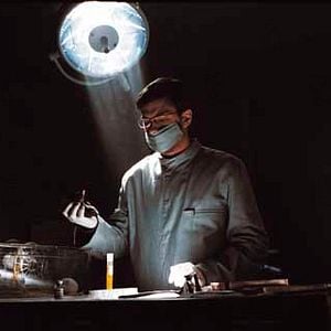 Fotoğraf Rose Bosch