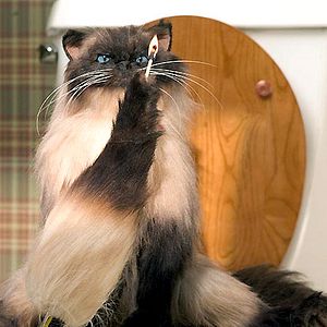 Fotoğraf Jason Friedberg