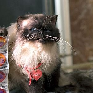 Fotoğraf Jason Friedberg