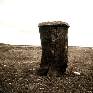 Fotoğraf Peter Hoffmann