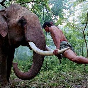 Fotoğraf Prachya Pinkaew