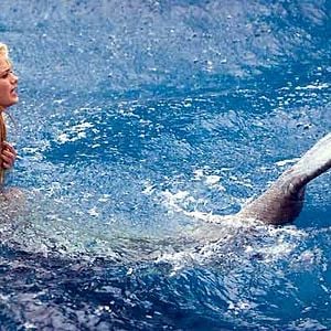 Fotoğraf Aquamarine