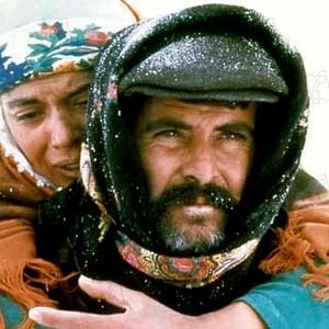 Fotoğraf Şerif Gören