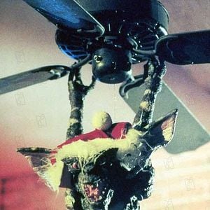 Fotoğraf Gremlinler