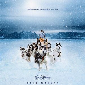 Fotoğraf Kutup Macerası