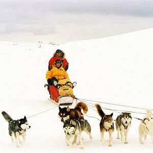 Fotoğraf Frank Marshall