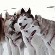 Fotoğraf Frank Marshall