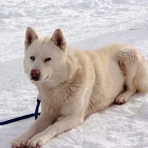 Fotoğraf Frank Marshall