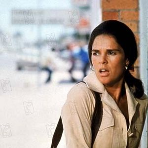 Fotoğraf The Getaway