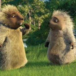 Fotoğraf Tim Johnson