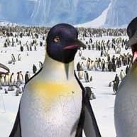 Fotoğraf George Miller