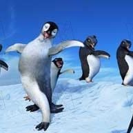 Fotoğraf George Miller