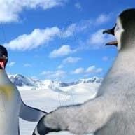 Fotoğraf George Miller