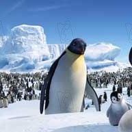 Fotoğraf George Miller