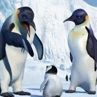 Fotoğraf George Miller