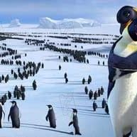 Fotoğraf George Miller