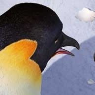 Fotoğraf Neşeli Ayaklar