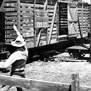 Fotoğraf John Sturges