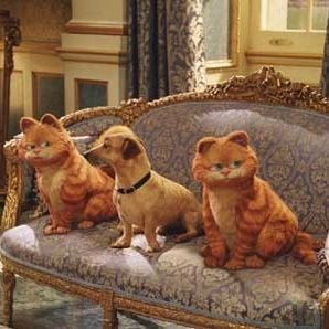 Fotoğraf Garfield 2