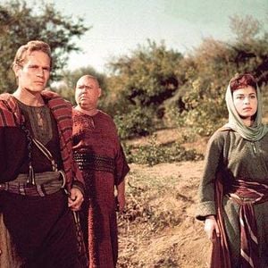 Fotoğraf Haya Harareet