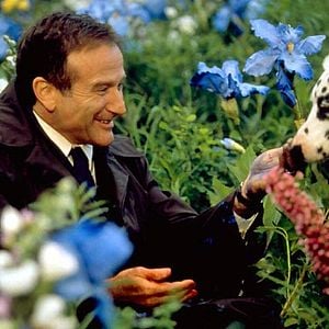 Fotoğraf Aşkın Gücü