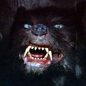 Fotoğraf Wolfgang Petersen