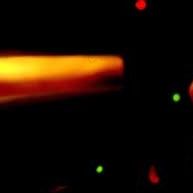 Fotoğraf Danny Boyle