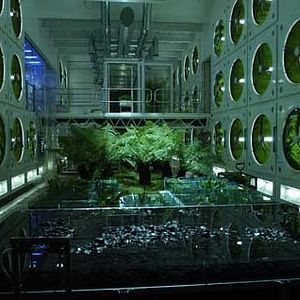 Fotoğraf Danny Boyle