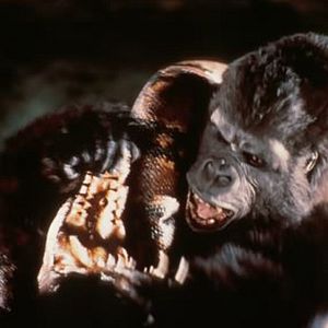 Fotoğraf John Guillermin