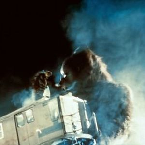 Fotoğraf John Guillermin