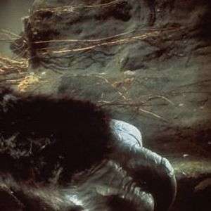 Fotoğraf John Guillermin