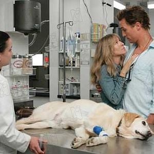 Fotoğraf Sarah Jessica Parker