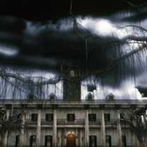 Fotoğraf Stay Alive