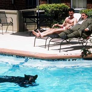 Fotoğraf Larry Charles