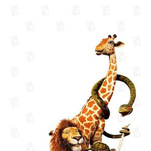 Fotoğraf Vahşi Doğa