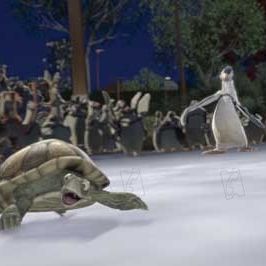 Fotoğraf Vahşi Doğa