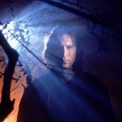 Fotoğraf The Visitor