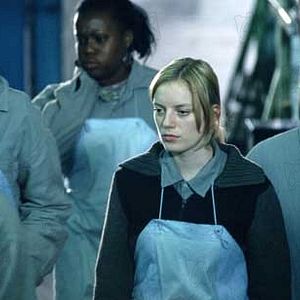 Fotoğraf The Secret Life of Words