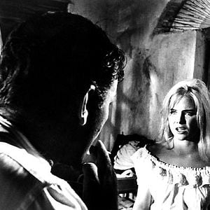 Fotoğraf İguana Geceleri