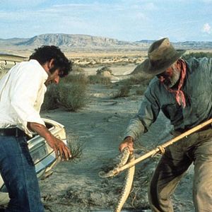 Fotoğraf Ölüm Noktası