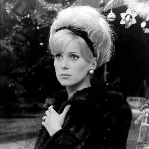 Fotoğraf Cherbourg Şemsiyeleri