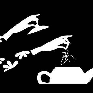 Fotoğraf Michel Pirus